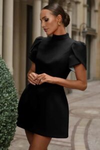 Kadın Kısa Kollu Balıkçı Yaka Arkadan Kelebek Dekolte Detaylı Kısa Atlas Elbise - Görsel 5