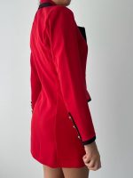 Mons Ceket Elbise - Görsel 4