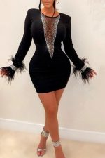 Kadın Dalgıç Kumaş Tül Ve Taş Aksesuarlı Kolları Tüylü Mini Boy Elbise - Görsel 3