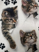 Kadın Kısa Kollu Kedi Ve Pati Baskılı Süprem T-shirt - Görsel 5