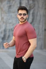 Erkek Viskon Kumaş Bisiklet Yaka Basic Tişört - Görsel 2