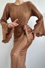 Vizon İspanyol Kol Piliseli Elbise - Görsel 3