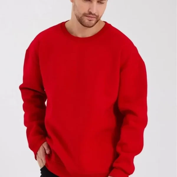 Erkek Düz Renk Bisiklet Yaka Sweat